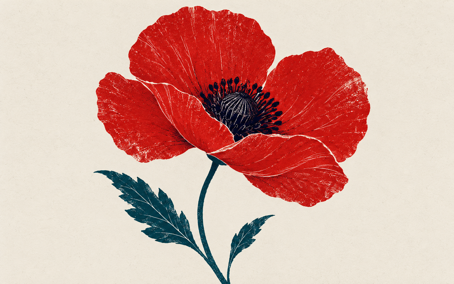 Illustration of a red poppy for Remembrance Day